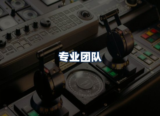 专业团队