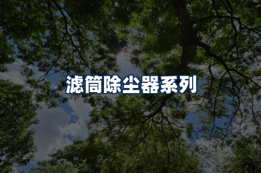 滤筒除尘器展示